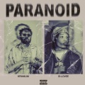 Paranoid (feat. B-Lovee)(Explicit)