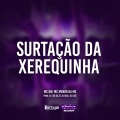 MC GW、Dj Rick、Mc Menor Da Ms、DJ LEO DA ZS、DJ Luis - Surtação da Xerequinha (Explicit)