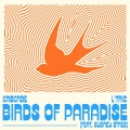 Birds of Paradise