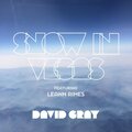 David Gray、LeAnn Rimes - Snow in Vegas