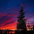 River of Kings - Christmas Cheer