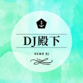 DJ殿下 - 中英文ProgHouse我终于失去了你一定要这首歌曲车载CD串烧