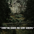 The Haunted House of Horror Sound Effects、Halloween & Musica de Terror Specialists、Halloween Music Crew - Spooky Scary Halloween Music