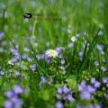 piano factory 드라마 뮤직 Vol. 10 (piano factory drama music Vol. 10)