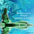Música para relajar cuerpo y mente, Vol. 5