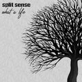 Split Sense - Today