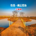 王温迪 - 给我一碗忘情汤