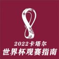 爆哥有料 - 2022卡塔尔世界杯--开篇序言