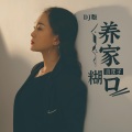 养家糊口 (DJ默涵版)