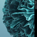 Dark Tunnes - Soul Rising (Radio Edit)