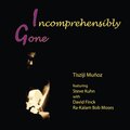 Incomprehensibly Gone