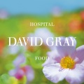 David Gray - Crimson Lightning