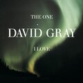 David Gray - With Open Arms