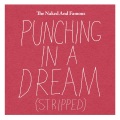 Punching in a Dream (Stripped)