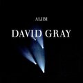 David Gray - Sacred Ground