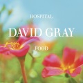 David Gray - Smile Like You Mean It (Live Radio 1 Session)