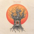 TRIGAIDA、Carmen Rizzo、Ivan Shopov、Asya Pincheva、Georgi Marinov - Sluntseto Trepti (Carmen Rizzo Remix)