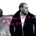 David Gray - Destroyer