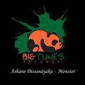 Ashane Dissanayaka - Noise