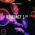 Indivision、Markus Marjak - Mindfood