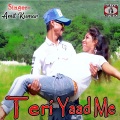 Teri Yaad Me