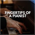 Fingertips of a Pianist
