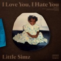 I Love You, I Hate You (Explicit)