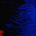 salvador、Lucas Evans、Jan Ashwell、Felix Church、Jude Machan - 75