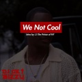 We Not Cool (Explicit)