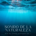 Sonidos De Oceano、Música de Lectura Relajante、Agua del Mar - Ruido Blanco De Oceáno