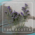 Garden City Movement - Terracotta
