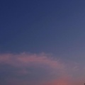 唐77 - 本就是林中鸟