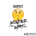 Wonder What?! (Remix|Explicit)