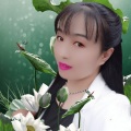 雪影、简金城 - 百花香