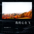 安徽民歌王子 - 我的心在飞