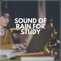 Rain for Deep Sleep、The Nature Soundscape - 10th Street