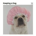 Calming for Dogs - Calming Doggy Times, Pt. 15