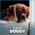 Calming for Dogs - Manipulate Mass