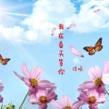 我在春天等你（热歌版）