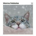 Cat Music - My Kitten's Area of Meditation