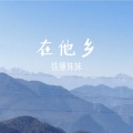 铁锤妹妹 - 在他乡