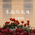 铁锤妹妹 - 东南西北风
