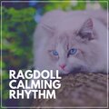 Cat Music Therapy - Cat Spa Calming Music for Your Cat, Pt. 3