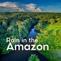 Rainforest Sounds - Comfy Cuddle Weather