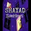 Limon Ahmed - Shayeed