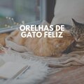 Orelhas de Gato Feliz
