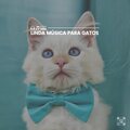 Linda Música para Gatos