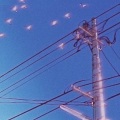 花的专卖店 - Shy to you
