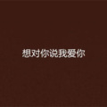 Li敖 - 对你说