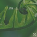 Nature Sleep - Everything Is Perfect